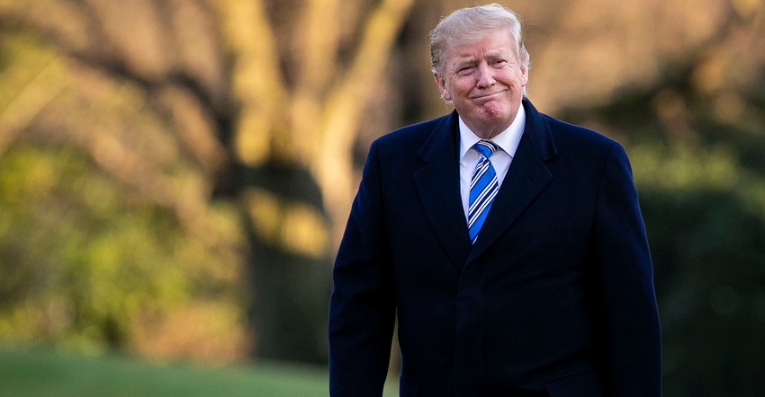 Donald Trump Walking Donald Trump Walking