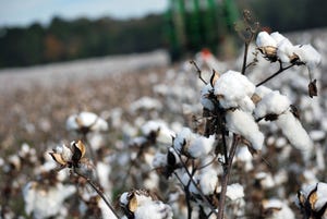 brad-haire-sefp-cotton-harvest-17-a-2.jpg