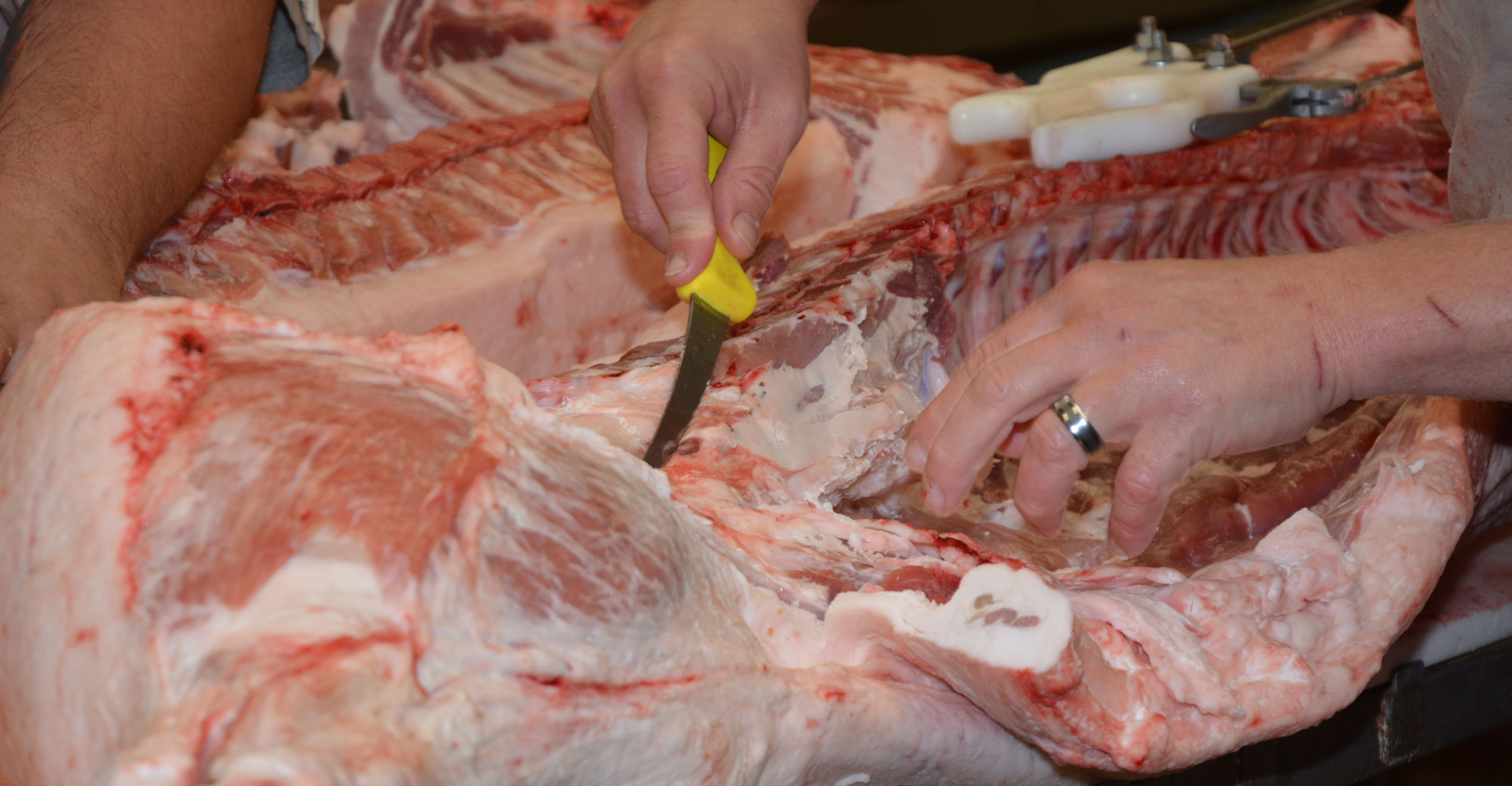 Southern Minnesota colleges launch training for next generation of meat  cutters