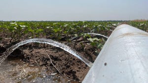 Close up of white poly tubing irrigating a cotton crop.