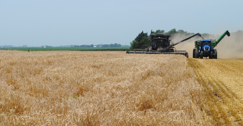 Wheat being harvested