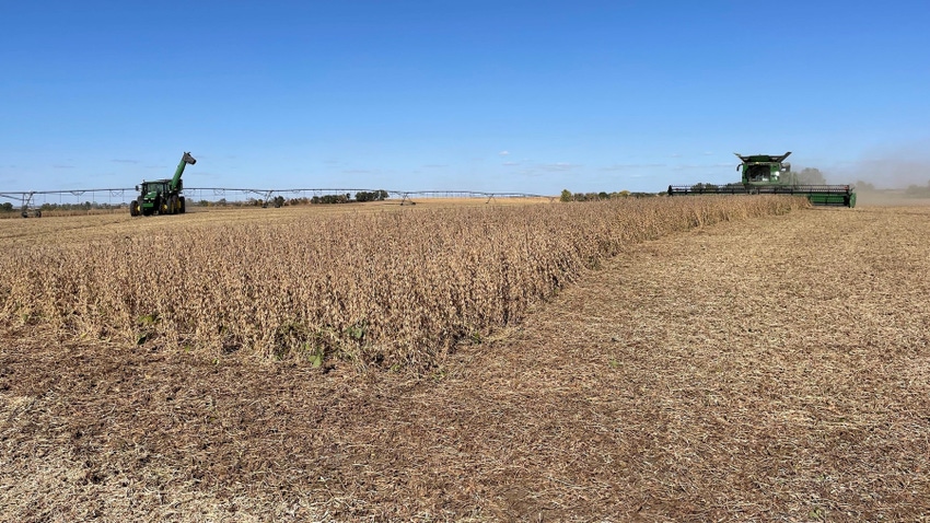 soybean field being harvested