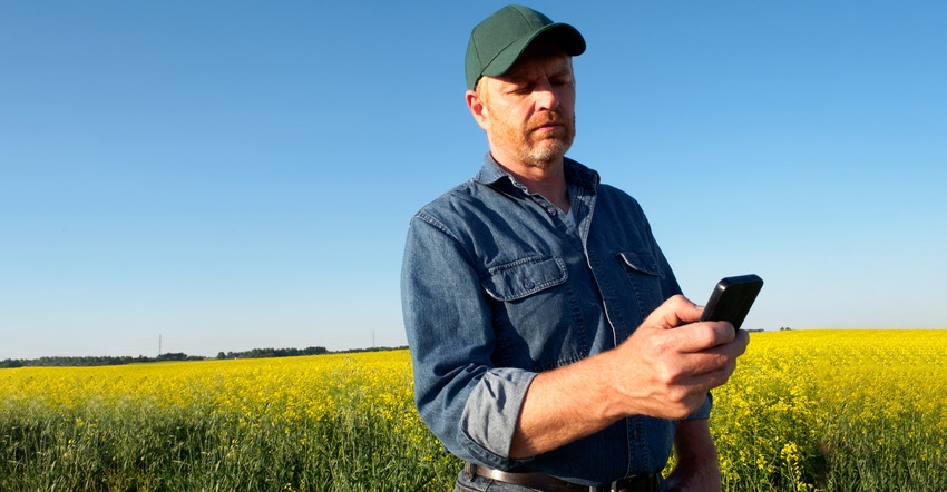 Farmer standing in the middle of a field looking at his smartphone