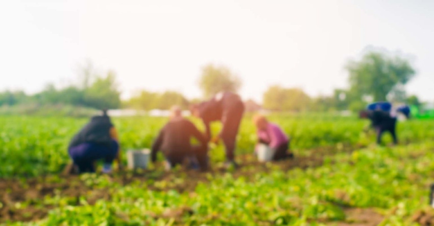 Ag worker bill pushed for passage Ag worker bill pushed for passage