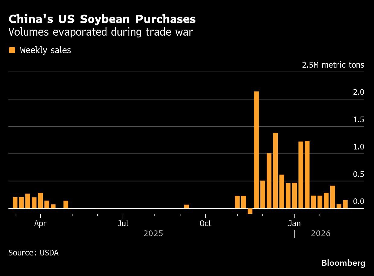 China's U.S. soybean purchases