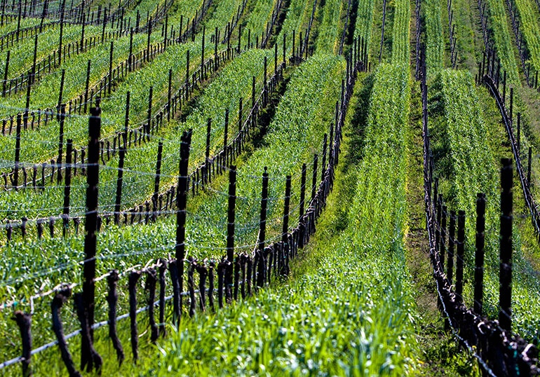 GL0409-CSWA-sustainability3_BT_Edits.jpg GL0409-CSWA-sustainability3_BT_Edits.jpg