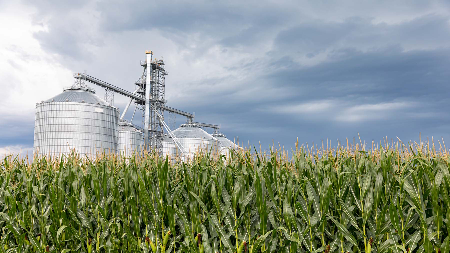 House approves year-round E15 in bipartisan vote