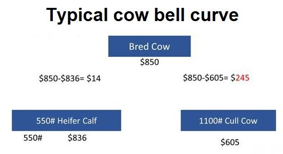 07107011-Typical-cow-bell-curve.jpg
