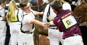 two boys showing cattle at World Dairy Expo shake hands