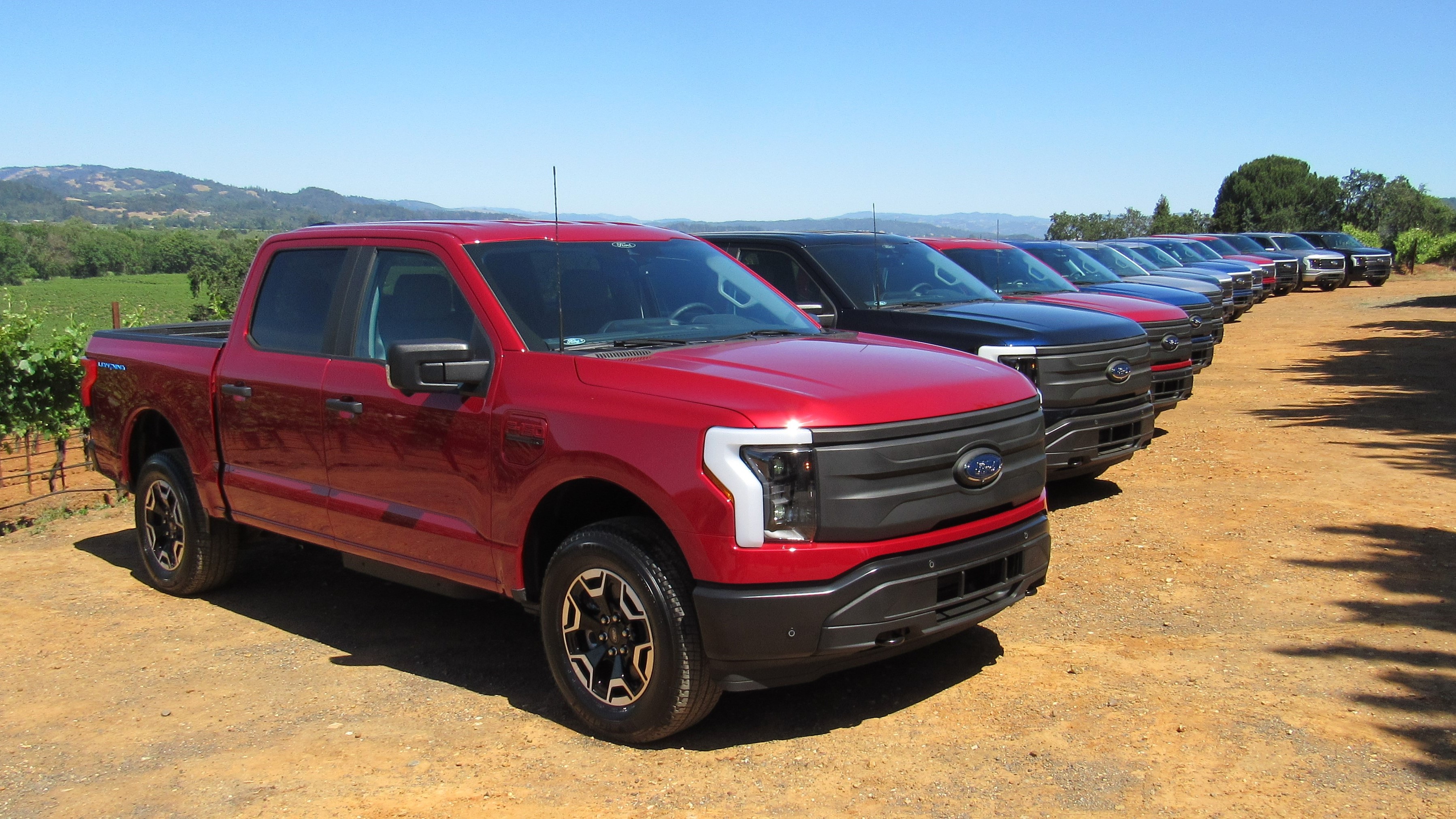 Take a closer look at corn roots