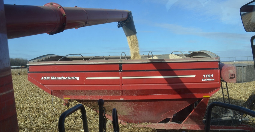 auger loading corn into grain cart