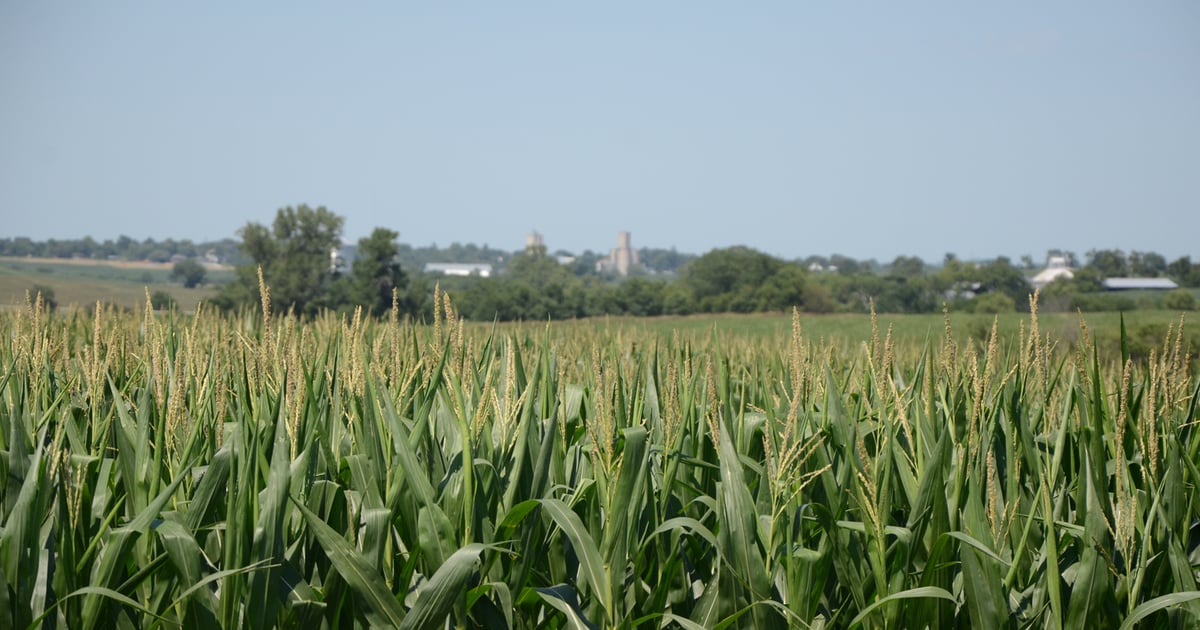4 tips for planning your farm's future