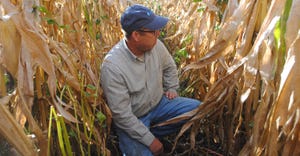 Scott Heinemann, Winside, Neb in his wide-row corn