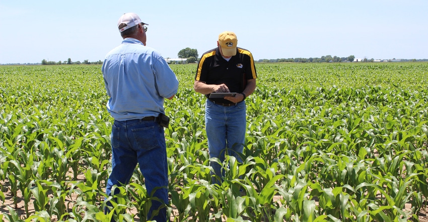 Two University of Missouri Extension employees assessing a field of crops