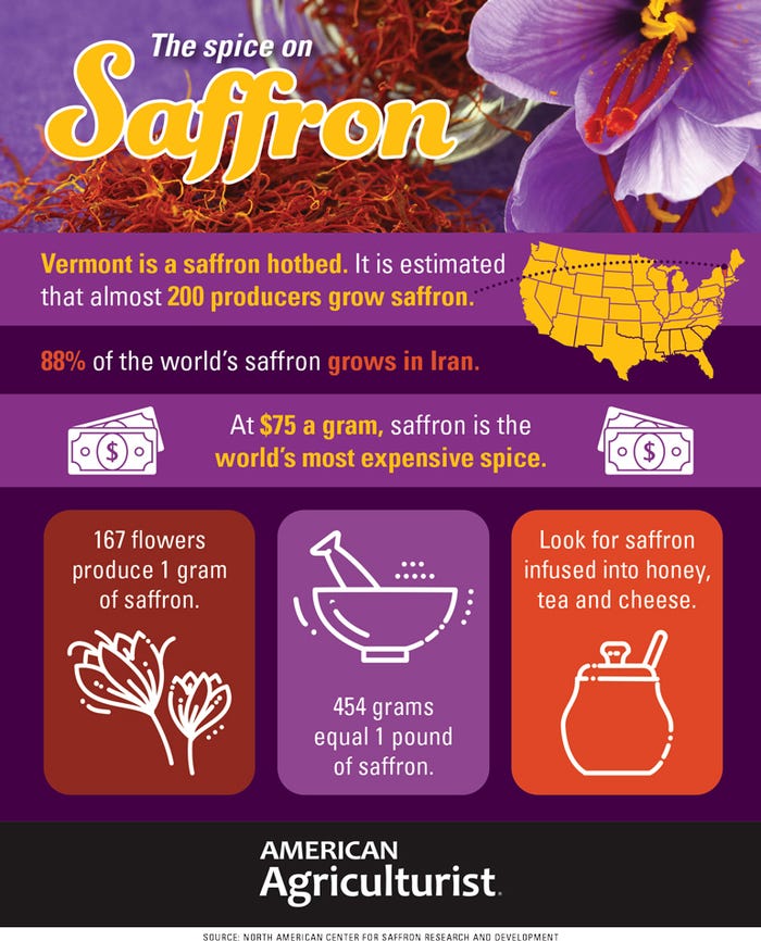 The spice on saffron infographic