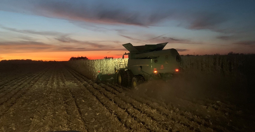 combine harvesting corn at sunset