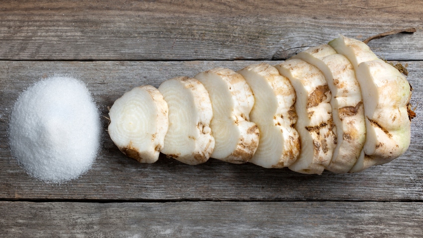 pile of sugar with sliced sugarbeets