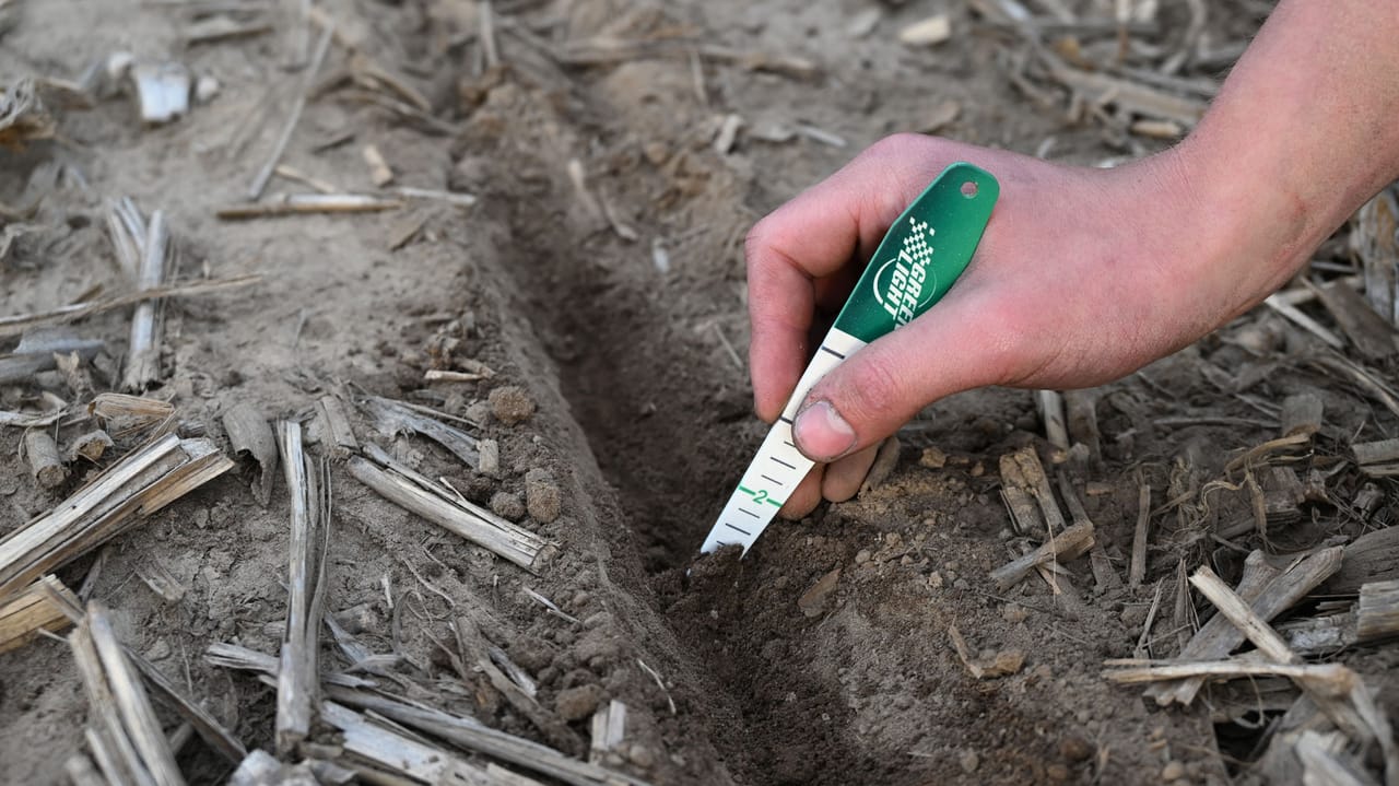 Standard Depths by Plant Category