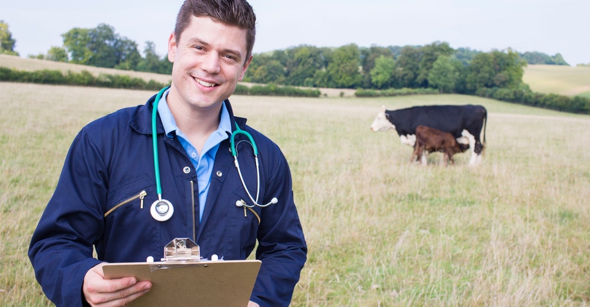 veterinarian holding clipboard with cattle in backgournd