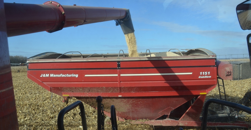 auger loading corn into cart