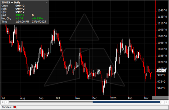 March 2025 Daily Futures Chart