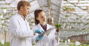two scientists in greenhouse inspecting plants and taking notes