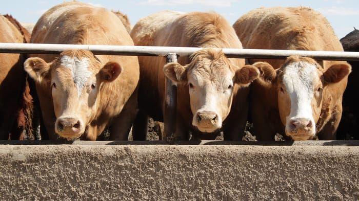 AutoFarm introduces OnTrac2 GPS Assisted Steering System | Farm Progress