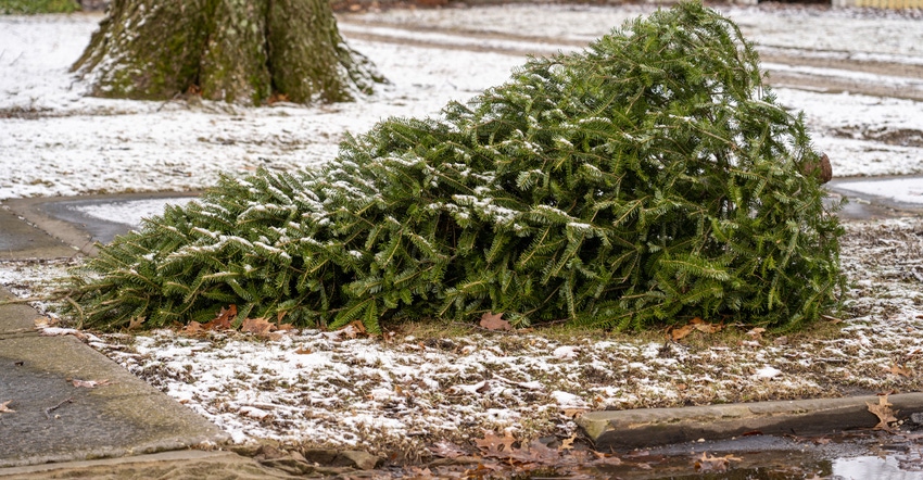 christmas-tree-trash-GettyImages-1197710206-tyler-tomasek-online.jpg christmas-tree-trash-GettyImages-1197710206-tyler-tomasek-online.jpg