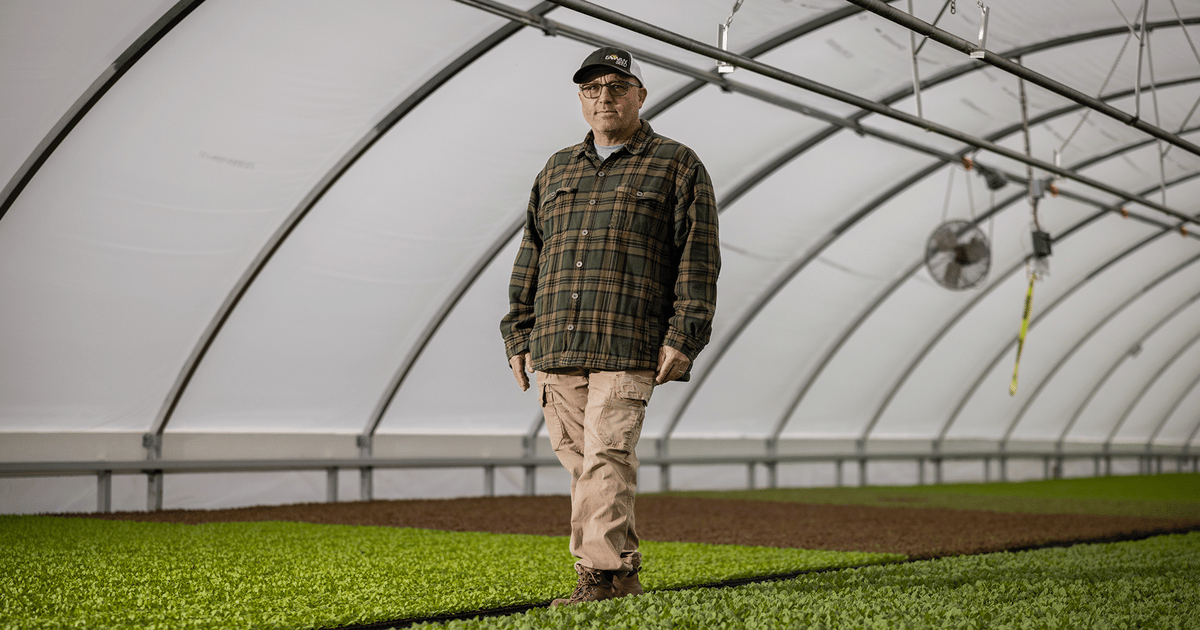 Trump slashes H-2A farmworker wages by up to $5 per hour