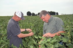 Lance Lawson and Brad Gilmer have been keeping a close eye on the Asgrow Roundup Ready 2 Xtend soybeans growing on their farm near Matthews, Mo.