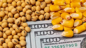 corn and soybeans with hundred dollar bills