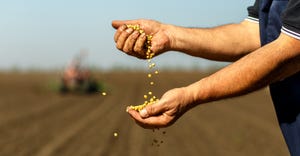 farmer with soybean seeds in his hand