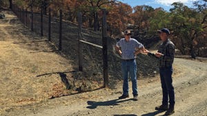 Scientists discussing wildfire damage