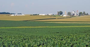Soybean, corn field with farm and silos in background