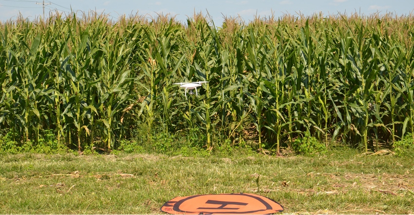 UAV in front of cornfield