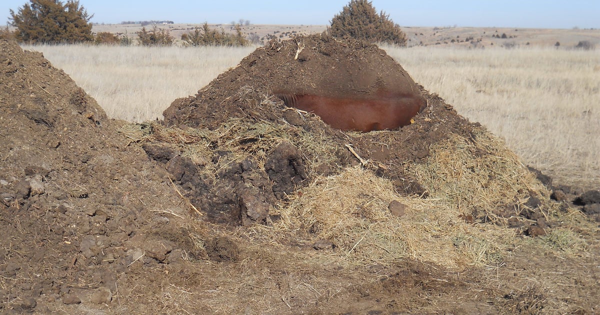Step-by-step tips for composting large-animal mortalities