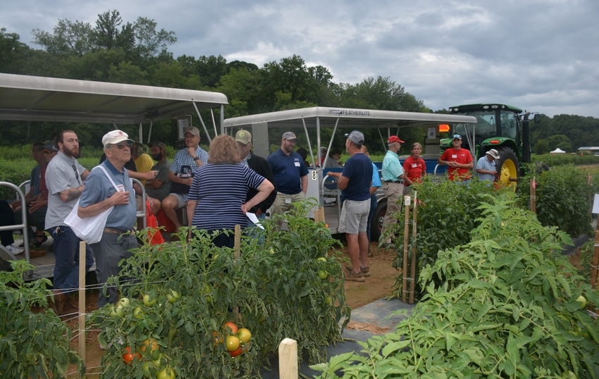 John_Hart_Farm_Press_Tomato_Field_Day_2022.jpg