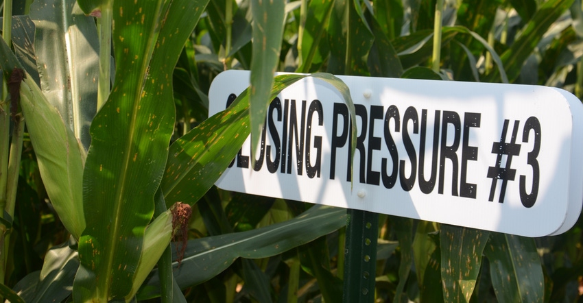 sign in cornfield