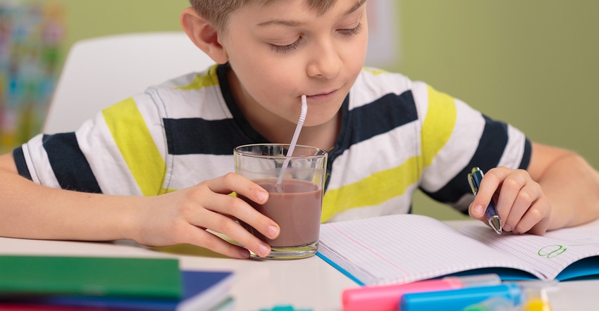 boy drinking chocolate milk while doing schoolwork