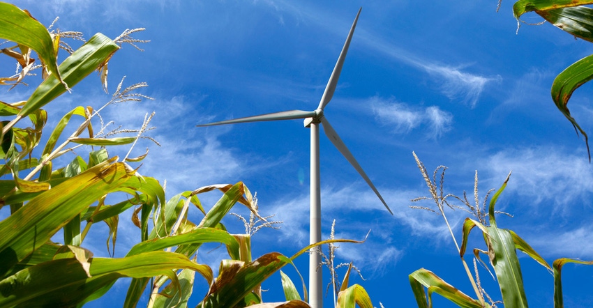 Wind turbine in corn field