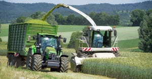 Forage harvester during harvesting of whole crop silage