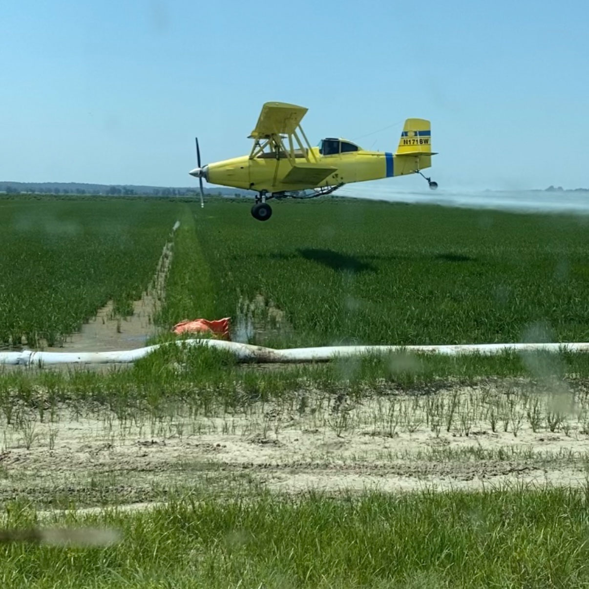 Aerial application on Delta farmland