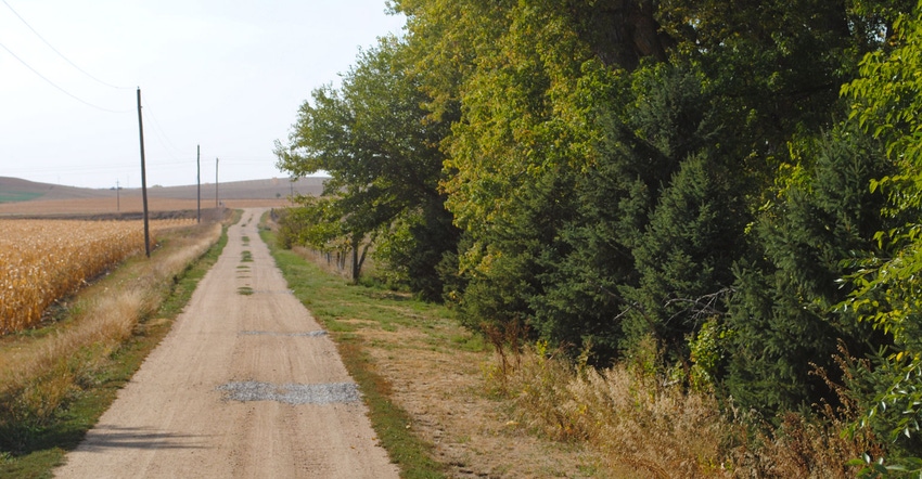 View of a country road with corn on one side and woodlands on the other