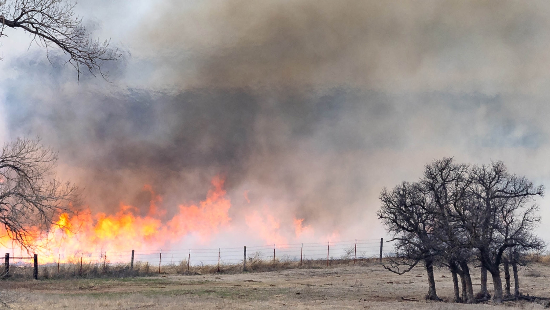 Wildfire Protection: Creating A Defensible Space