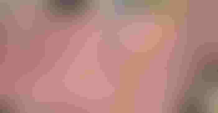 0706T1-3449b-1540x800.jpg 0706T1-3449b-1540x800.jpg