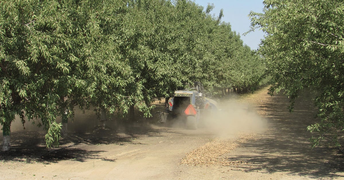 Tree nut industry rings in the new