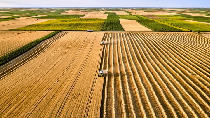 Crop Progress: Corn quality tilts unexpectedly lower