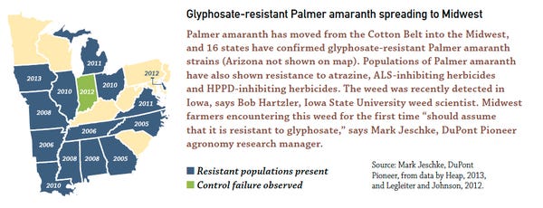 glyphosate-resistance increases in midwest in Palmer amaranth