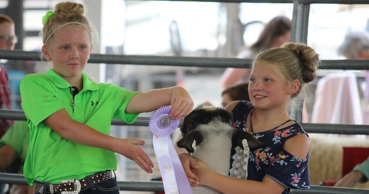 Your fair photos are more valuable than you think