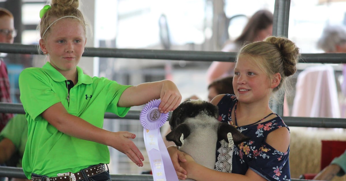 Your fair photos are more valuable than you think